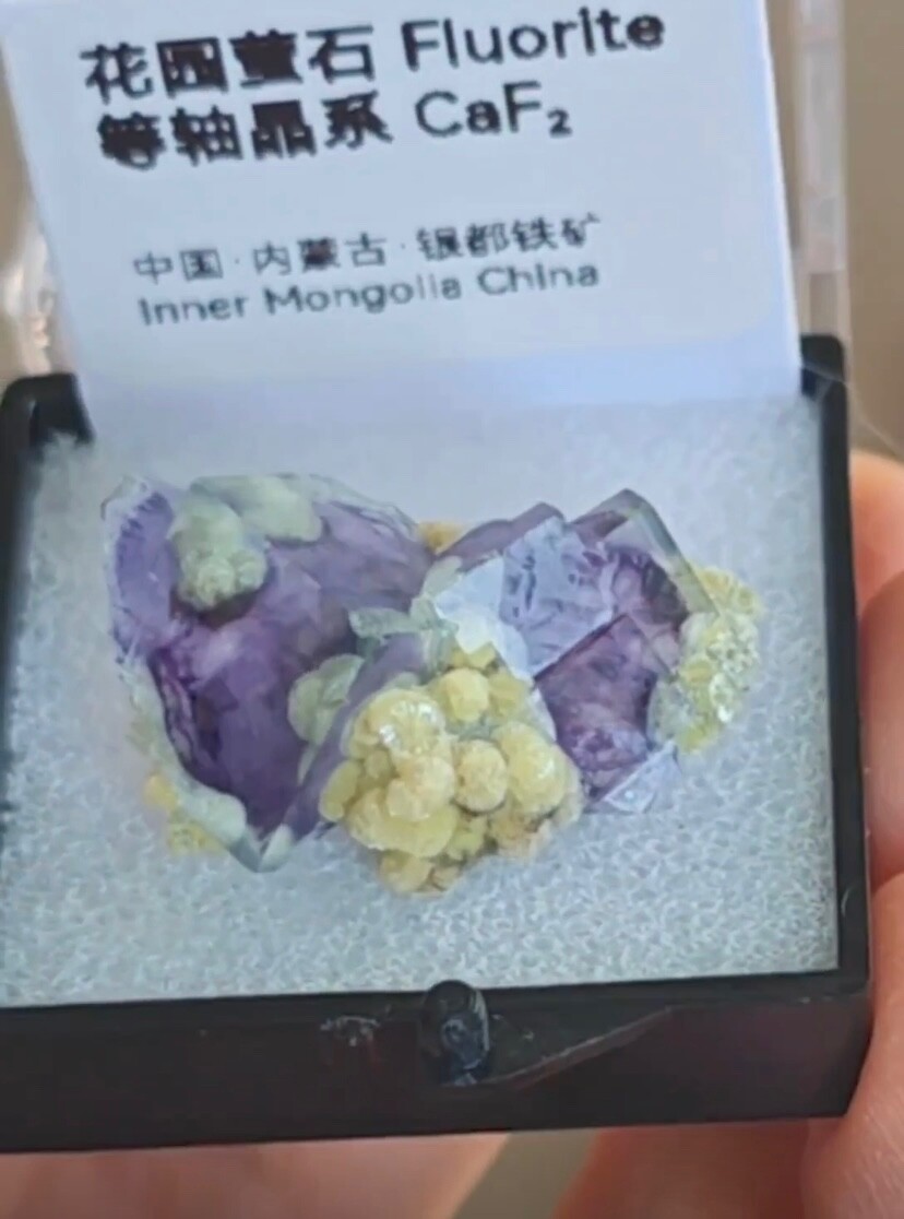 The naturally unique purple fluorite occurs in association with mica minerals.