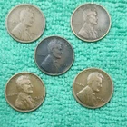 Lincoln Wheat Small Cent BN Circulated 1920,1924 1925,1926,1929.US Cent Coins