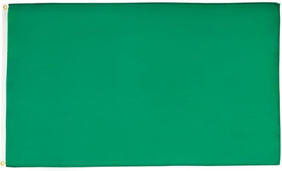 - Race Officer Green Flag - 2x3 Ft - 100D Polyester Racing Banner with Two Metal