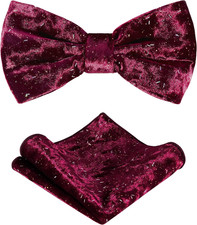TIE G Men's Glitter Velvet Bow Tie  Pocket Square Set in Gift Box for Wedding,