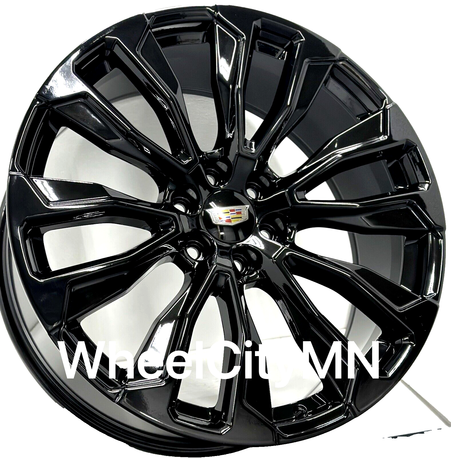 Picture 7 of 8