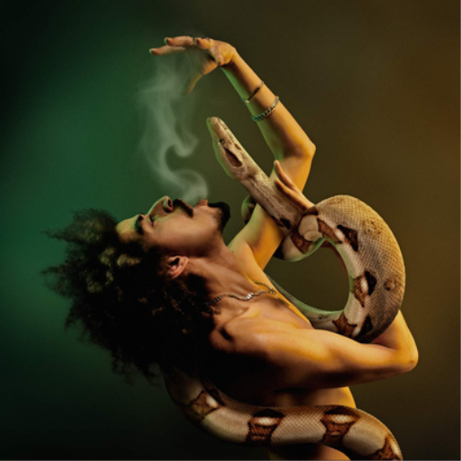 Momo Said Break the Rules (Vinyl LP) 12" Album