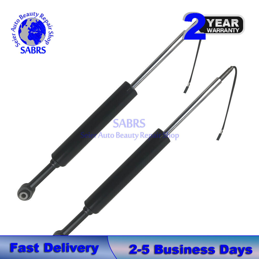 Pair Rear LH RH Shock Absorbers Struts Fit Maserati Levante M161 17-22 670037439
