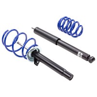 ap Sportfahrwerk 40/30 BMW 3Er E36 Compakt (Bj. 04/94-) (Va 831-900Kg)