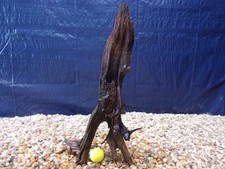 Medium Driftwood 19"x12"x07" Aquarium Terrarium Reptile Natural Art