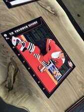 1994 POST CEREAL NHL COLLECTOR SERIES THEOREN FLEURY 12 BY 8 1/2 JUMBO PIN UP