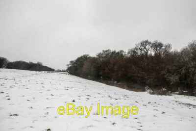 Foto 6x4 Park Coppice, Hog Cliff Nature Reserve Frampton c2018