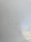 Foto 17 di 17