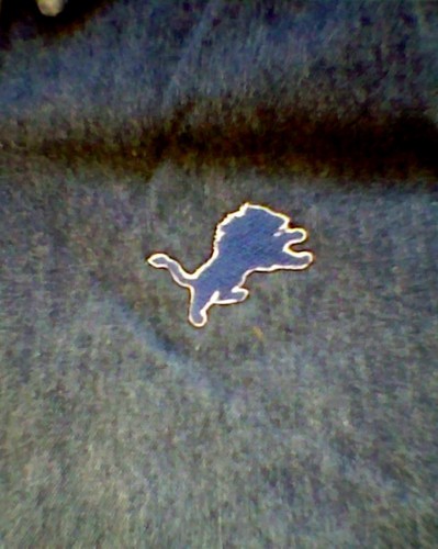 Womens Detroit LIONS Denim Dress Shirt Blue NWT S XL Classy!! REEBOK Jersey - Picture 2 of 2