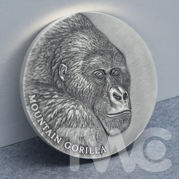 Mountain Gorilla Expressions of Wildlife 2 oz Silver Coin CFA Cameroon 2021-image