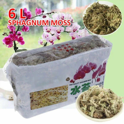 MARKENLOS Für Sphagnum Moisturizing Moss Organic Fertilizer Orchideen Phalaenopsi Moos