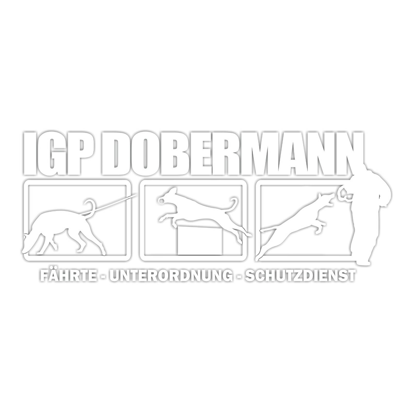 Bild 8 von 8