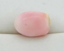 PINK CONCH PEARL OVAL SHAPE 11.90 CT CERTIFIED