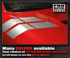 Decals for Dodge Challenger 2008-2023 Fender Hash Side Stripes (Choose Color)