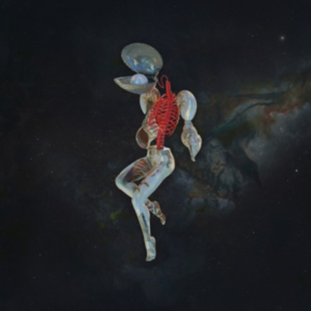 Fossil Garden by HAIL SPIRIT NOIR (CD 2024) - Image 3