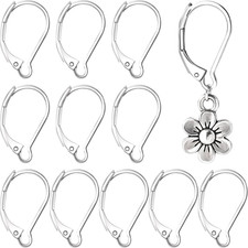12 Pcs Leverback Earring Hooks, Stainless Steel Clasp Hoop, Hypoallergenic Dangl