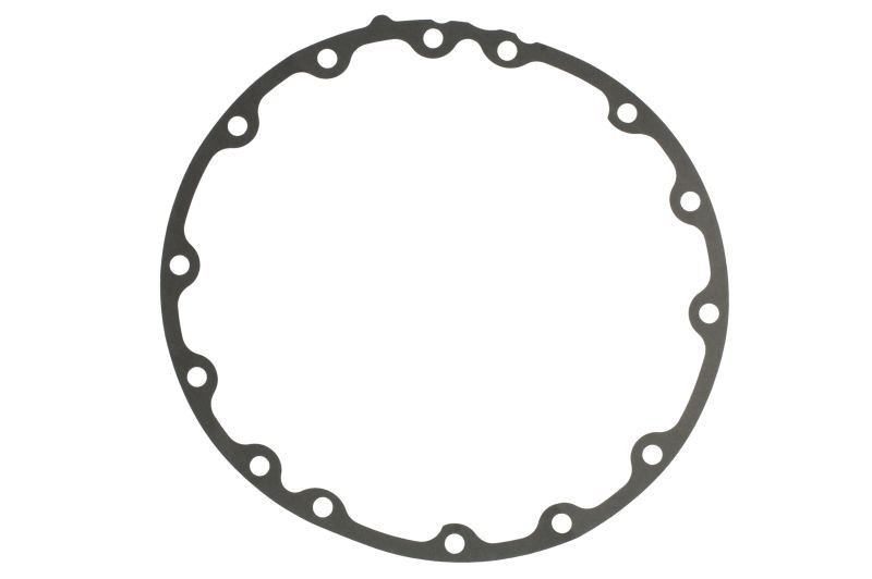 Fits EURORICAMBI 74171376 Gasket, differential 74171376 Differential  ⭐UK Stock⭐