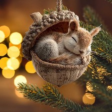 Forest Animal Acorn Acrylic Hanging Ornament - Baby Squirrel - Approx 3.5"