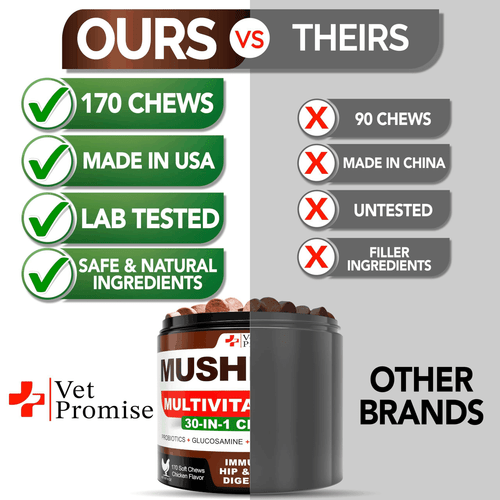 (2 Pack) Mushroom for Dogs 340 Chews Turkey Tail Mushroom Supplement for - Bild 5 von 6