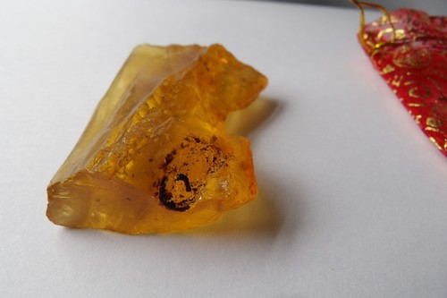 Copal Amber with Insect and Plant Inclusions, Natural Fossil Resin Madagascar - Picture 37 of 41
