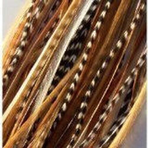 4-7 pouces gingembre naturel, beige, grizzly 100 % vrais cheveux 6 extensions de plumes collées - Photo 1 sur 5