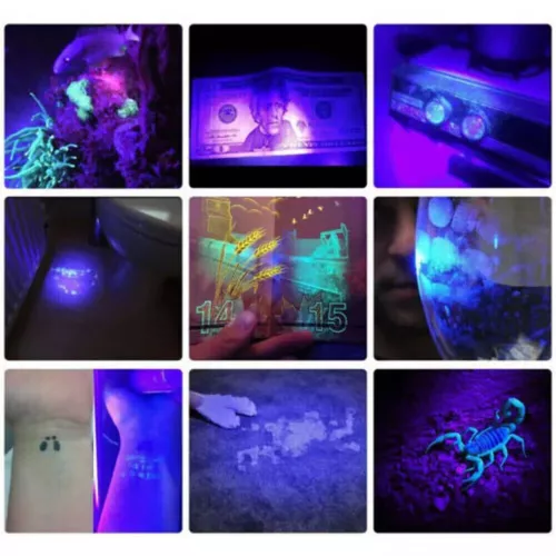 2x UV Ultra Violet LED Flashlight Blacklight Light 395nM Inspection Lamp Torch - Picture 8 of 9