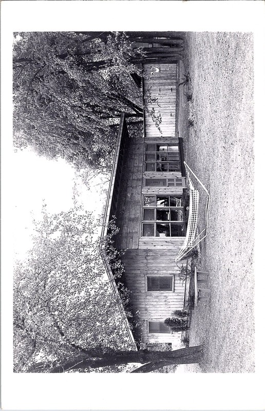 RPPC Postcard Wooden House Cabin Landscape Mid-Century MCM Hammock 1950s