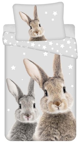 Hasen Paar Kaninchen Wende-Bettwäsche-Set Häschen 135x200 80x80 Baumwolle Sterne - Bild 1 von 4