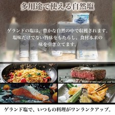 Sel de Guerande Coarse Sea Salt 1kg France Brittany  Direct from JAPAN