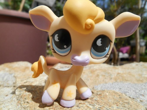 LPS Littlest petshop pet shop chien chat européen colley cat dog rare accessoire - Imagen 11 de 243