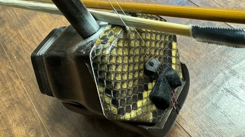 Erhu, suono di alta qualità, violino cinese del produttore Meastro 制琴大师王国兴传统六角老红木二胡 - Foto 4 di 9
