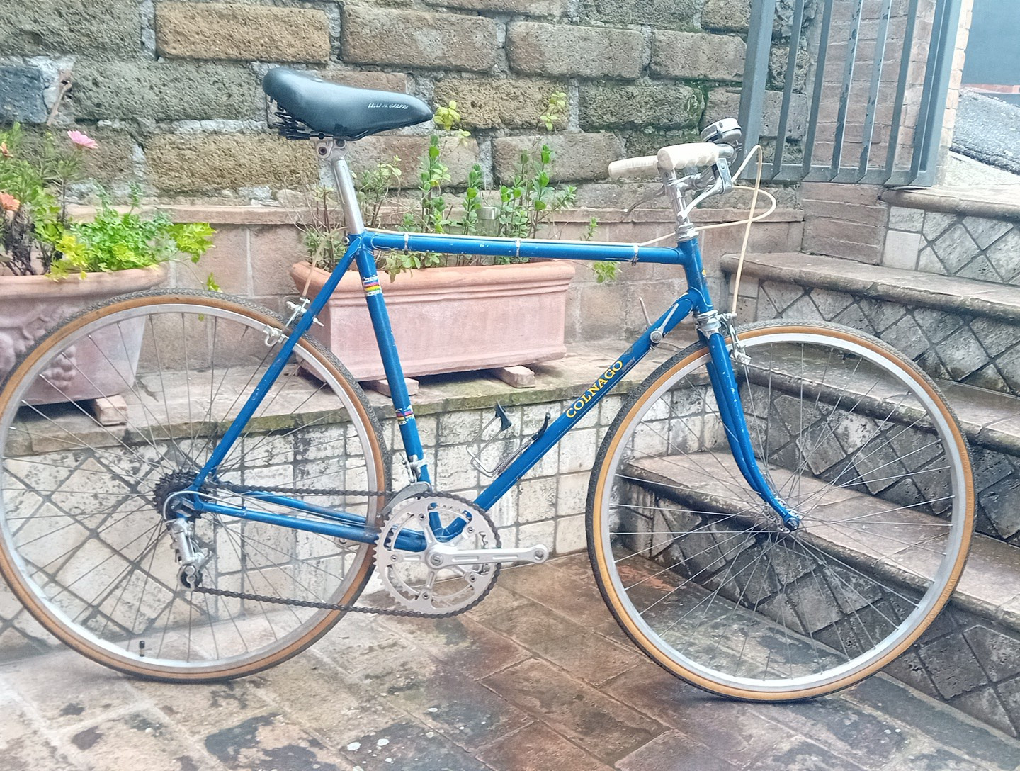 Colnago Sport Bici Da Citta Campagnolo Vintage L'Eroica Bicicletta  Da Corsa