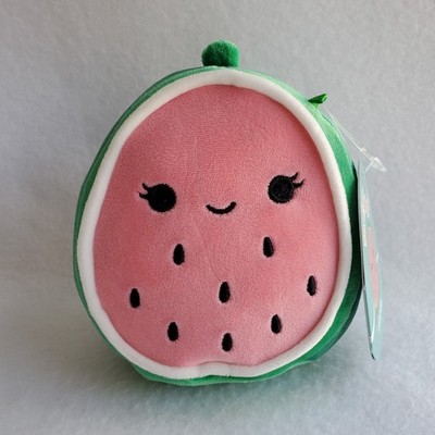 Squishmallow WANDA the WATERMELON 5'' plush green pink stuffed Fruit Squad 5 inch