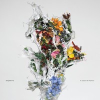 Big Brave A Chaos Of Flowers (Vinyl) 12\ Album"