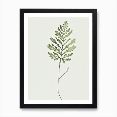 Schafgarbenblatt minimalistisch Aquarell gerahmt Wandbild Poster Leinwanddruck Bild