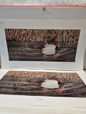 "SERENITY" BY JOHN A RUTHVEN 1994 OHIO DUCKS UNLIMITED PRINTS 65/97 Of 1,500