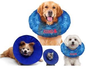 kong cone collar
