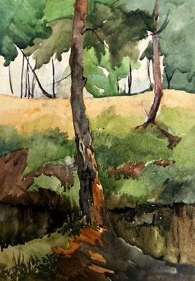 Watercolor Painting Rest In The Woods Unknown Artist Unframed Original nAAA2789
