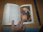 Bild 9 von 11