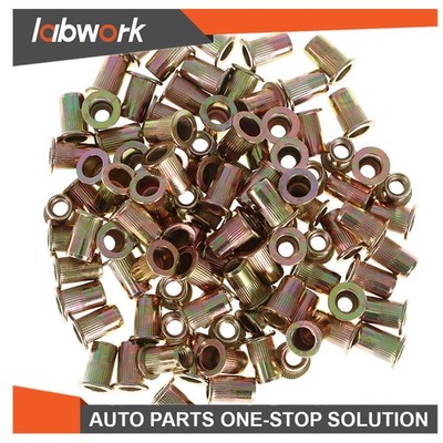 Labwork Flat Head Rivnut Carbon Steel Threaded Insert Nuts 100 Pcs M6 Metric Nut