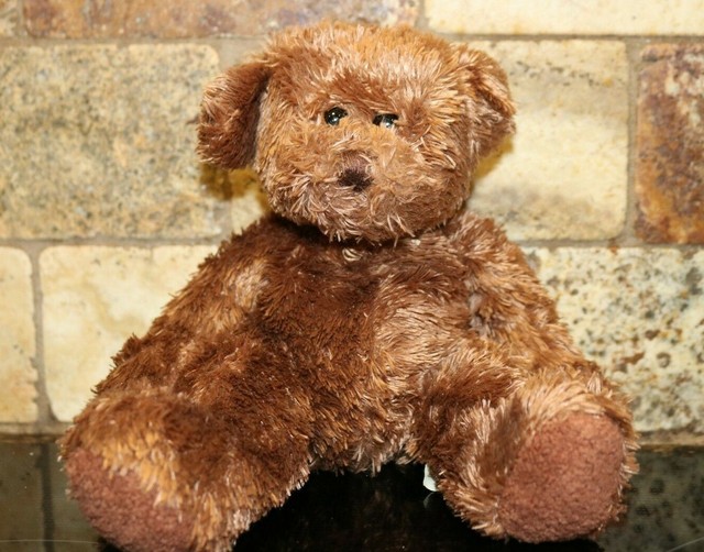 Teddy Bear Stuffed Brown 9" Circo Target 2008 Animal Adventure Plush Furry eBay