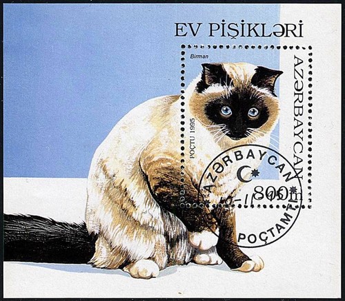 AZERBAIJAN 1995 BIRMAN CATS S/S DOMESTIC ANIMALS