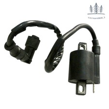 Racing Ignition Coil 110 125 150 200cc 250cc Atv Moped Go Kart Quad Chinese Bike