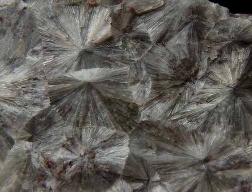 WAVELLITE on ORDOVICIAN SANDSTONE -- Czech Republic - Cerhovice - Třenice /pf149