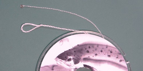 1pc 12ft Tenkara Mono Furled Leader build-in 2mm Tippet Ring + 2 Line Winder#27 - Picture 3 of 9