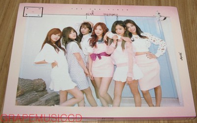 APINK 2ND ALBUM Pink MEMORY WHITE VERSION CD + PHOTOCARD SEALED | eBay