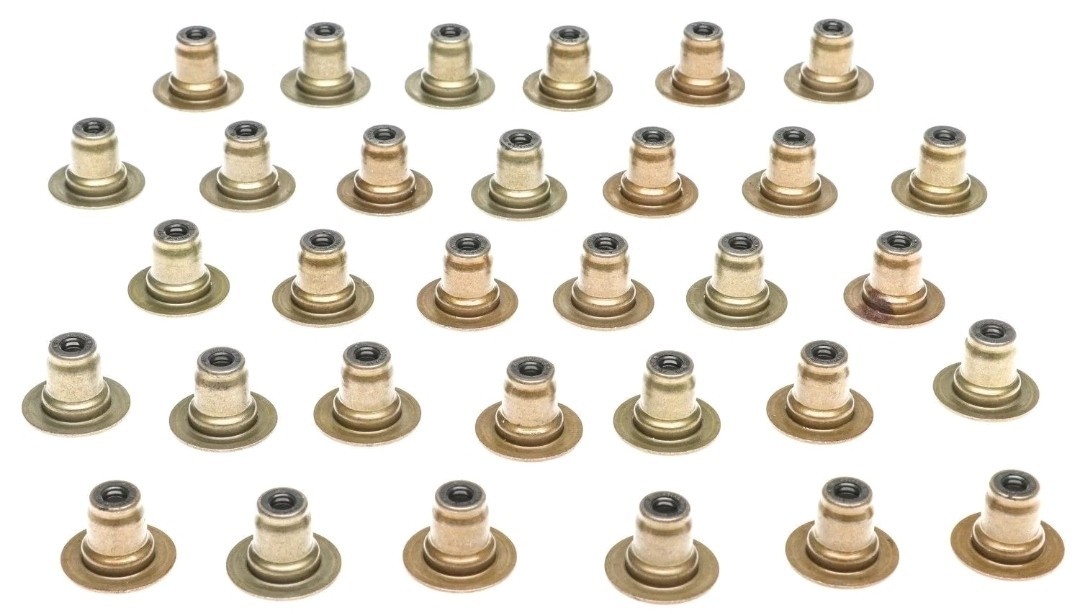 OEM FORD 5.0 GEN3 Valve Stem Oil Seal Set 18-24