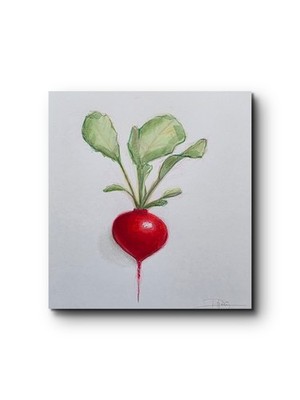 Original painting radish   Alcohol Marker Artwork    22.5 x 21 cm not a print