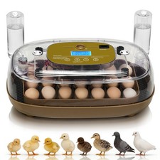 Automatic Egg Incubator for Hatching with Automatic Turning and Humidity-24 Egg