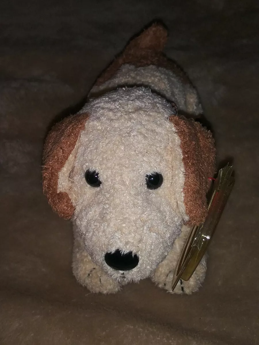 Jack russell beanie baby top